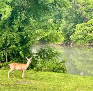 Almost Heaven At The River - 9