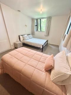 St Okes Apartment- Peaceful retreat set in native bush Stay 1 night, 1 week or 1 month - 5