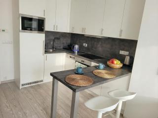 Karlin Executive - Standing Desk, Monitor & Garage - 8