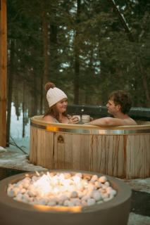 Aux Box Muskoka Modern Muskoka Bunkie - 7