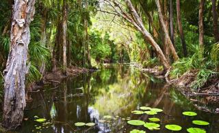 Breakaway – Central Beachside Studio for 4 w/ Shared Pool, Minutes to Central Agnes Water & 1770 - 7