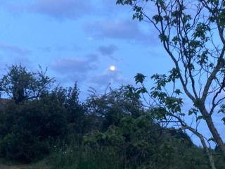 RDC de villa indépendante activités 4 saisons - 2