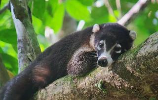 La Casita - Dos Brazos - 9