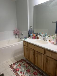 Peaceful home in Chicago suburbs - 4