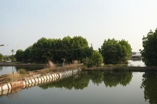 The Varghese Beth - 1