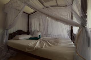 Flamingo Guest house - 8
