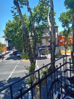 Casa Centrica en Colonia - Vistas Abiertas y Patio Natural - 4