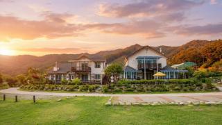 Hwacheon Parprika Yellow Pension - 2