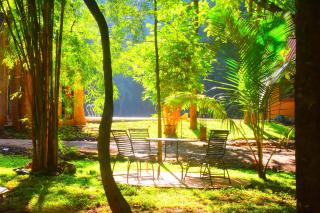 Udawalawe Safari Hotel - 7