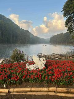 โบว์ โฮมสเตย์ปางอุ๋ง - 6