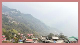 The Himalaya Hotel - 2