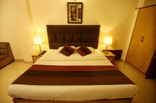 Hotel Parkway Deluxe - New Delhi - 7