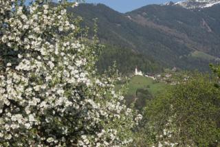 Ferienwohnung Parth - Sautens - 4