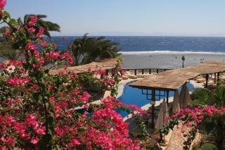 Nesima Resort - Dahab - 5