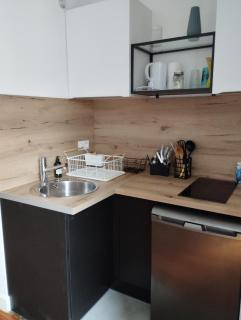 Le "Clairval" au bord du lac Léman - Studio ensoleillé - 3