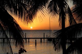 Aruba Surfside Marina - Oranjestad - 8