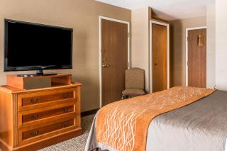 Hampton Inn Chelsea, Mi - 3