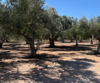 Angelina's Cute House - 9