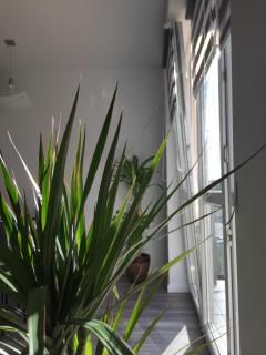 Cztery Pory Roku - Tychy - 5
