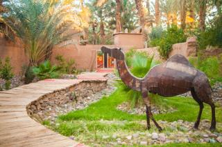 Riad Lamane - 5