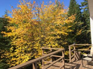 Loft Nature Laurentides - 7
