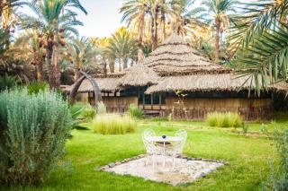 Riad Lamane - 6