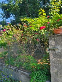 Appartement dans maison d'hôtes avec parking gratuit - 8