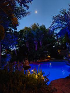 Hidden Gem RUWARI - 1