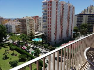 Danio Solo Familia Serviplaya - 7