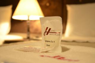 Hotel Horto Plaza - 3