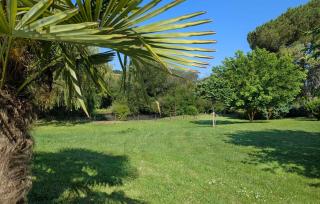 Maison Avec Piscine Et Etang - 1