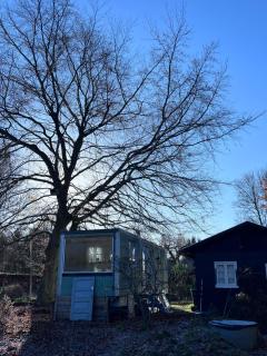Tiny house close to Copenhagen - 2