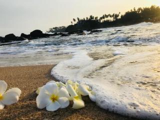 Lagoon View Villa Tangalle - 3
