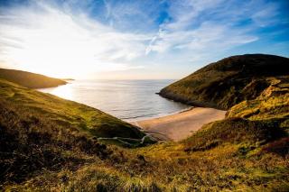 2 Bed in Llwyndafydd oc-c31062 - 8