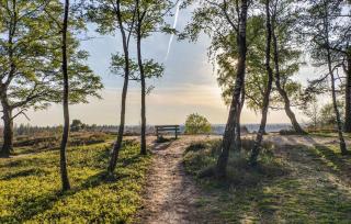 Cozy Home In Den Ham With Kitchen - 2