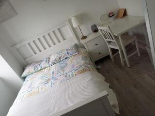 New Furnished Apartment - View of Grand Canal Dock - 2