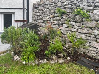 Oronsay Cottage - 1