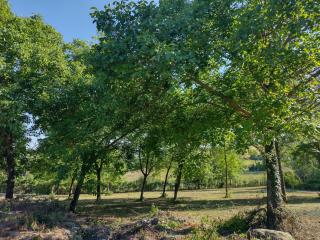 Villa with Pool Monferrato BOTTO LIVING - 4