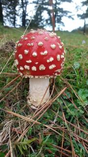 Casa Rural El Jaral - 1