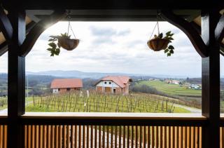 Apartment Angelina - 4