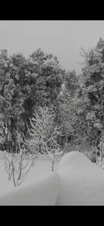 DS Residency Homestay, Chakrata - 8