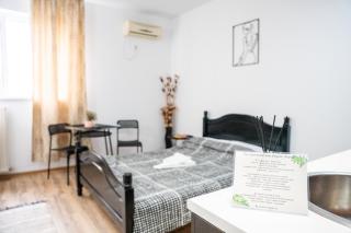 Gate 255 Airport Self Check-in 10 min from OTP AIRPORT - 1