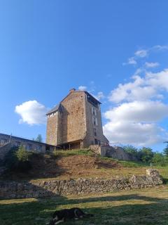 Château Montégut Tour médiévale avec vue Pyrénées - Montégut - 5