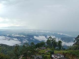 The bawa guest Inn - 9