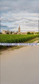 Maison au cœur des vignes - 9