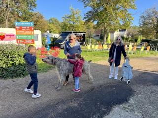 Camping 3 étoiles - eeeggh -  - 4