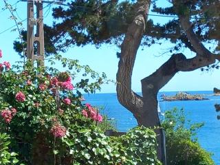 Face à la mer Plein sud - 6