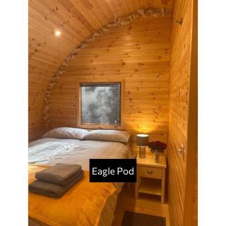 Forrester Park Glamping Pods - Eagle Pod and Birdie Pods - 2