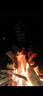 Tiger Woods Homestay Kabini - 4