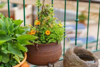 GuestReady - Charming retreat in Funchal - 3